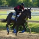 Kentucky Derby contenders