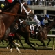 Some horses have a better chance than others to win the Kentucky Derby on May 2