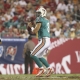 Miami Dolphins QB Matt Moore