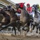 New Jersey to offer fixed odds horse racing bets