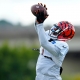 nfl picks Ja'Marr Chase Cincinnati Bengals predictions best bet odds