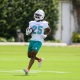 NFL Win Total betting advice Miami Dolphins