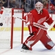 nhl picks Alex Nedeljkovic Detroit Red Wings predictions best bet odds