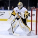 nhl picks Alex Nedeljkovic Pittsburgh Penguins nhl picks