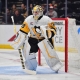 nhl picks Alex Nedeljkovic Pittsburgh Penguins nhl picks