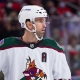 nhl picks Andrew Ladd Arizona Coyotes predictions best bet odds