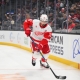 nhl picks Dylan Larkin Detroit Red Wings nhl picks