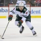 nhl picks Rem Pitlick Minnesota Wild predictions best bet odds