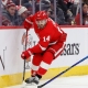 nhl picks Robby Fabbri Detroit Red Wings nhl picks predictions best bet odds