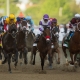 Nyquist, Kentucky Derby winner