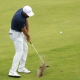 PGA picks FedEx St. Jude Championship Scottie Scheffler