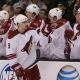 phoenix coyotes