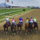 2014 Preakness Stakes