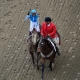 Preakness Stakes betting trends Mage