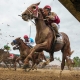 Preakness Stakes long shot predictions