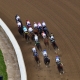 Preakness Stakes pace scenario