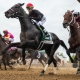 Preakness Stakes pace scenario