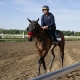 Preakness Stakes post position analysis