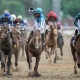 Preakness Stakes predictions Mage