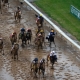 Preakness Stakes wagering strategies