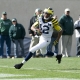 Michigan receiver Roy Roundtree