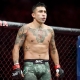 ufc picks Alejandro Perez predictions best bet odds