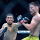ufc picks Elves Brener ufc predictions best bet odds
