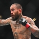 ufc picks Marlon Vera predictions best bet odds