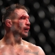 ufc picks Michael Chandler predictions best bet odds