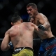 ufc picks Niko Price predictions best bet odds