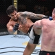 ufc picks Omar Morales predictions best bet odds