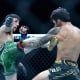 ufc picks Steve Erceg predictions best bet odds