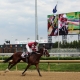 Untapable, race horse