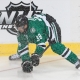 Dallas Stars Center Vernon Fiddler