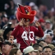 Which NFL teams deliver most value for fans?