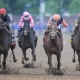 Will there be a Triple Crown winner?