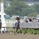 Belmont Stakes pace scenarios