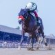 Belmont Stakes wagering strategies
