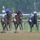 Belmont Stakes longshots