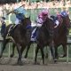 Best Exacta bets for Kentucky Derby