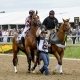 Best trifecta bets for the Preakness Stakes