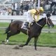 Calvin Borel aboard Rachel Alexandra in the 2009 Preakness.