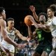 college basketball picks Sam Hines Jr. South Florida Bulls predictions best bet odds