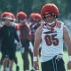 college football picks Nate Kurisky Louisville Cardinals predictions best bet odds
