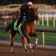 Emerging Market odds to win the Kentucky Derby