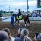 Handicapping the Kentucky Derby is different from other races Grande