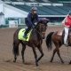 Horses that can win the Kentucky Derby Luxor Cafe