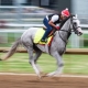 Horses that can win the Preakness Stakes Sandman