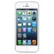 IPhone Picture