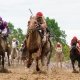 Journalism Kentucky Derby